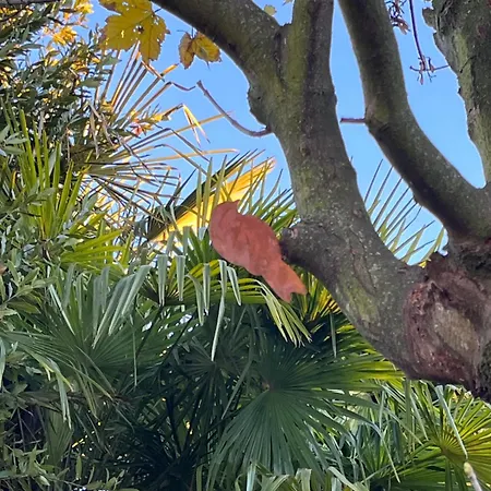 Nocleg ze śniadaniem Cascina Giantino Cantina - G A Y - M E N - O N L Y (adults Only)